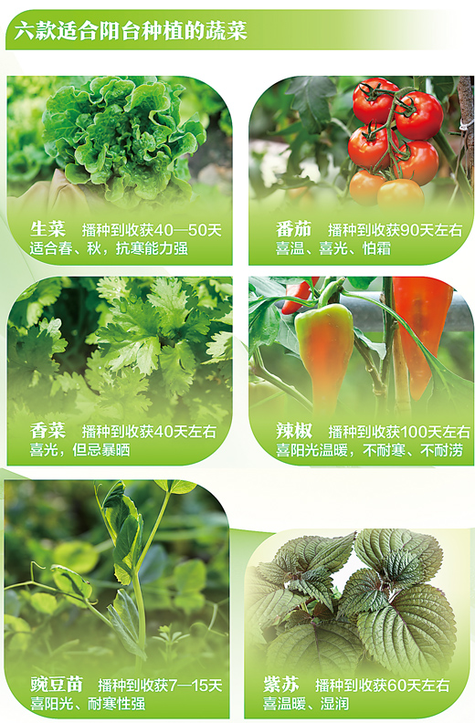 db6c2eff-f9b8-43b3-a8f7-ad43fad857f7.jpg db6c2eff-f9b8-43b3-a8f7-ad43fad857f7.jpg