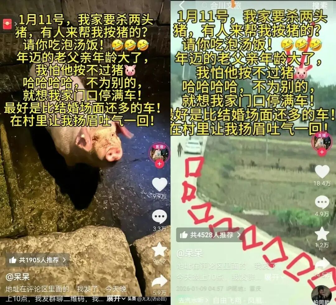 微信图片_2026-01-16_163622_336.jpg 微信图片_2026-01-16_163622_336.jpg